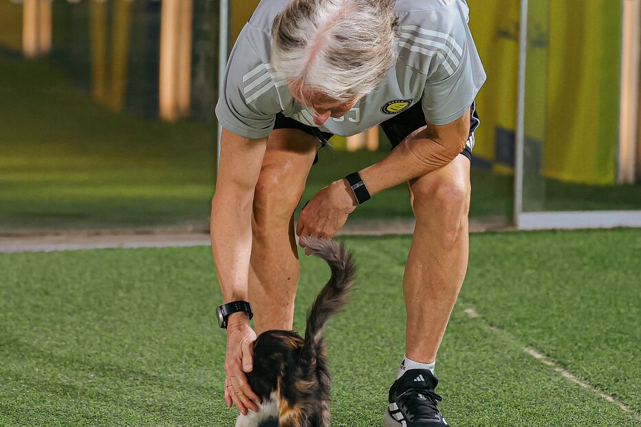 Jorge Jesus encontra gatinha durante treino do Al Nassr