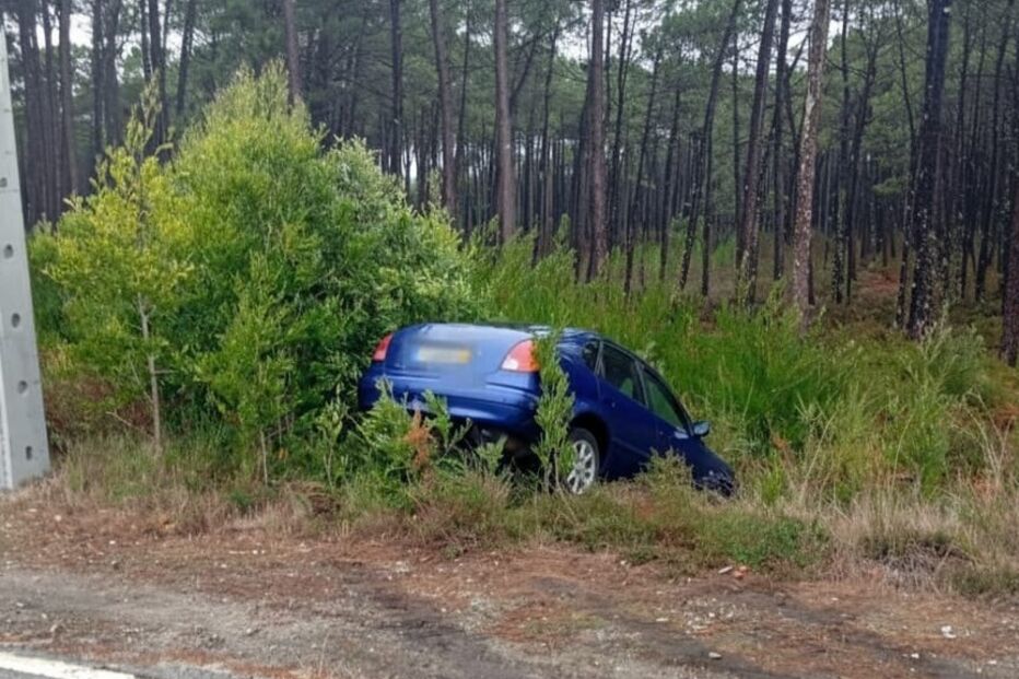 Carro azul sai da estrada e entra na vegetação densa perto da floresta