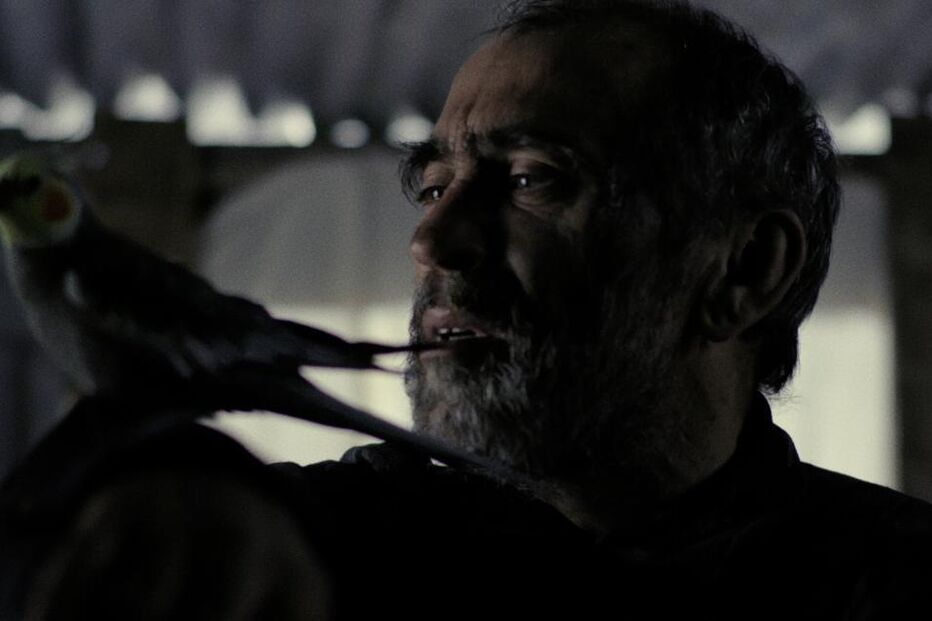 Homem e ave numa cena do filme 