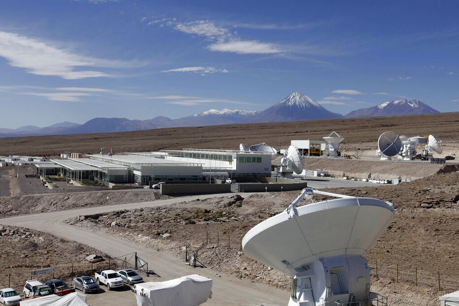 Descoberta nova espécie de musgo no Deserto do Atacama, no Chile