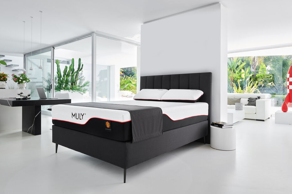 C-Studio MAXCOLCHON_Mlily Stark.jpg