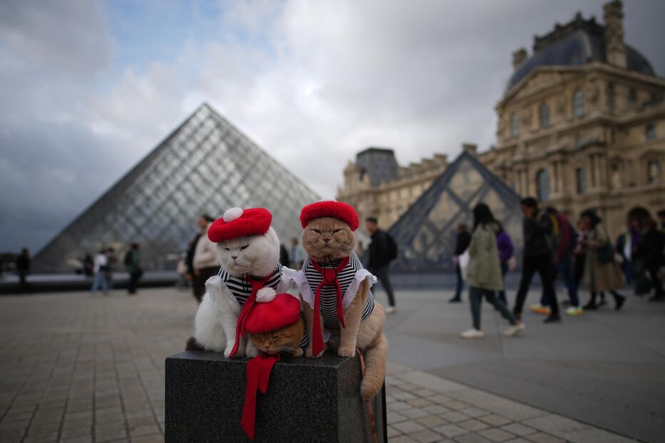 Gatos no Museu do Louvre