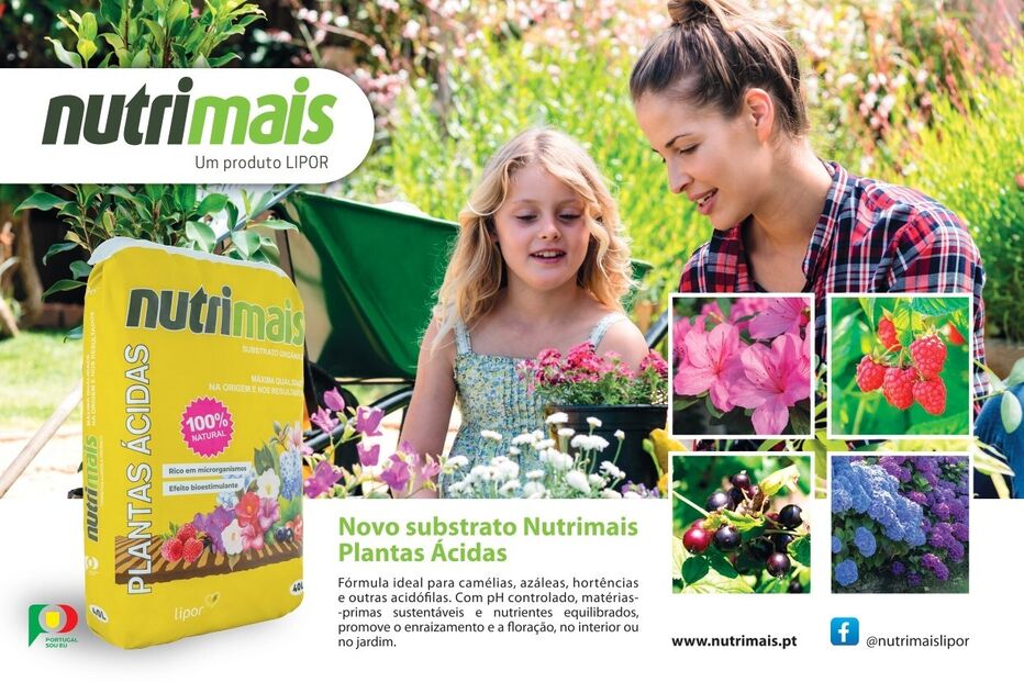 Novo substrato Nutrimais Plantas Ácidas para camélias, azáleas e hortênsias