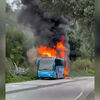 <![CDATA[ Autocarro da Rede Expressos incendeia-se na N206 perto de Famalicão ]]>