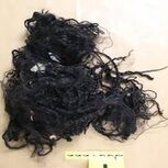 Parte da cabeleira preta encontrada junto ao cadáver