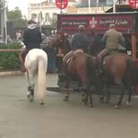 Homem esfaqueado na Feira Nacional do Cavalo na Golegã