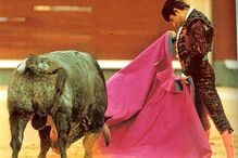 Toureiro Rafael de Paula