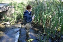 Fármacos contaminam ribeiras de Coimbra
