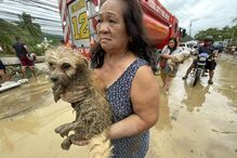 Inundações e mortes nas Filipinas após passagem do tufão Kalmaegi