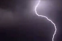 Proteção Civil regista 784 ocorrências entre as 00h00 e as 12h00