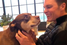 Tom Brady tem uma nova cadela, Junie, clone de Luna, que morreu em 2023