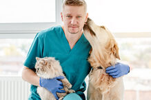 Veterinários recusam atender quem se identifica como animal