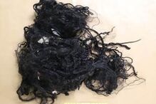 PJ pede ajuda para encontrar pais de bebé morto no meio do lixo