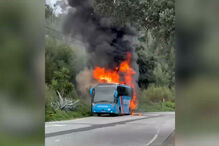 Autocarro da Rede Expressos incendeia-se na N206 perto de Famalicão