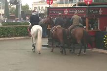 Homem esfaqueado na Feira Nacional do Cavalo na Golegã