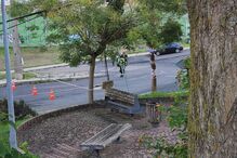 Bombeiros atuam após queda de postes e cabos elétricos em árvore, sem danos a edifícios