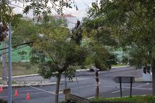 Queda de postes de eletricidade causa alerta perto das 13h30, com bombeiros no local