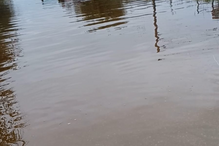 Coimbra: Chuva forte causa inundações, desalojados e carros retidos em Soure e Figueira da Foz