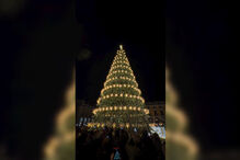 '3,2,1... é Natal em Lisboa!': Pinheiro já brilha na Praça do Comércio