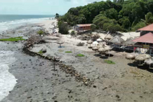 Amazónia, no país da COP30, sofre com a destruição devido ao avanço do mar