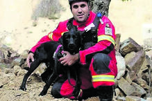 Cadela heroína dos bombeiros de São Pedro da Cova morre após homenagem 