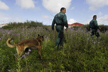 Idosos desaparecidos no Natal encontrados sem vida no concelho de Mealhada