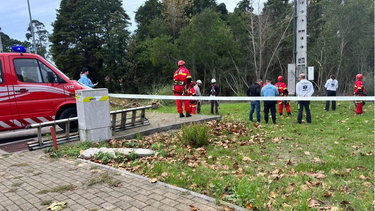 Homem sofre ferimentos graves após cair de poste de alta tensão em Vagos