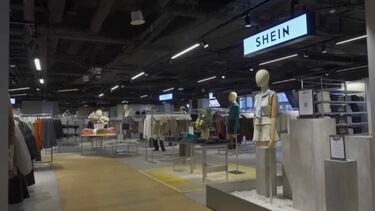 Aberto inquérito para investigar venda de bonecas sexuais com aparência infantil na Shein