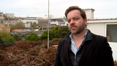 Ratos, cobras e escaravelhos em cemitério de árvores: moradores no Porto denunciam "lixeira da Corujeira"