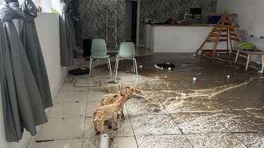 Esgotos causam prejuízo e fecham centro educativo