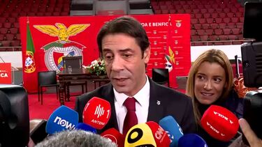 Rui Costa reeleito presidente do Benfica e fala aos jornalistas