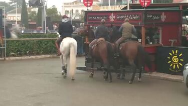 Homem esfaqueado na Feira Nacional do Cavalo na Golegã