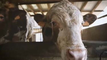 Estação do TGV em Vila Nova de Gaia mudou de local e há quem possa ficar sem casa, terrenos e animais