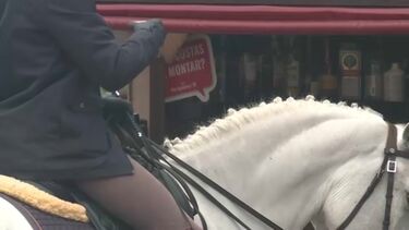 Rixa acaba à facada na Feira da Golegã