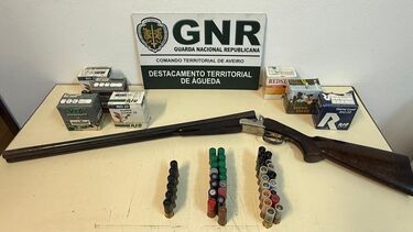 Idoso constituído arguido por ter caçadeira furtada