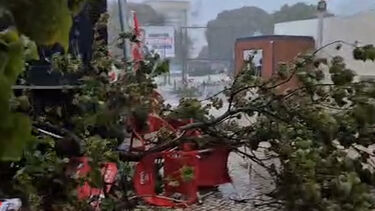 Cadeiras de esplanada derrubadas e ramos de árvores no chão: Os efeitos do mau tempo em Olhão