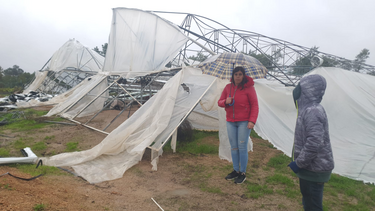 Ventos fortes destruíram estufas e danificaram telhados no Fundão