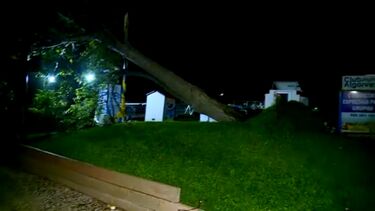 Árvores tombadas e esplanadas destruídas: vento forte persiste e provoca estragos em Olhão