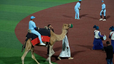 Liga de beisebol no Dubai começa com novas regras... e camelos