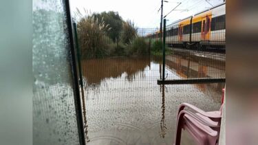 Árvores tombadas e estradas alagadas: mau tempo provoca estragos por todo o País