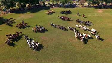 Cavalos e património são os protagonistas do Dia da Tradição da Argentina 