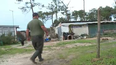 “Estavam praticamente tapados pela água”: Chuva intensa ameaça animais e casa de idoso em São Martinho do Porto