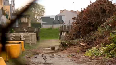 Lixo acumulado em estaleiro no centro urbano do Porto já está ao nível de uma casa de primeiro andar