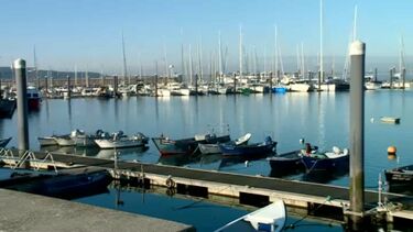 Buscas por turista francês retomaram esta manhã no Rio Douro