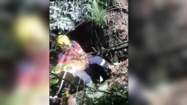 Bombeiros resgataram cão de poço em Gondomar