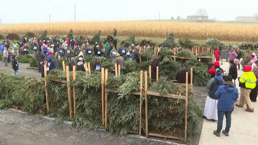 Na Pensilvânia o Natal vai a leilão em zona rural de fazenda 