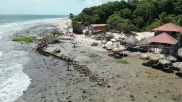 Amazónia, no país da COP30, sofre com as alterações climáticas