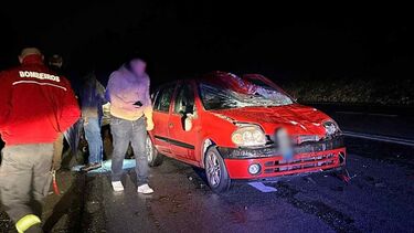 Carro colide contra dois cavalos na EN105 em Santo Tirso