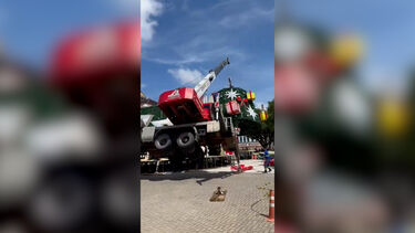 O momento em que árvore de Natal cai sobre trabalhadores no Brasil 