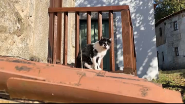 Aldeia histórica à venda por 1,7 milhões de euros foi restaurada antes de cair no abandono